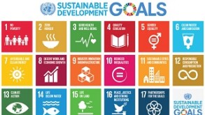 UN SDGs