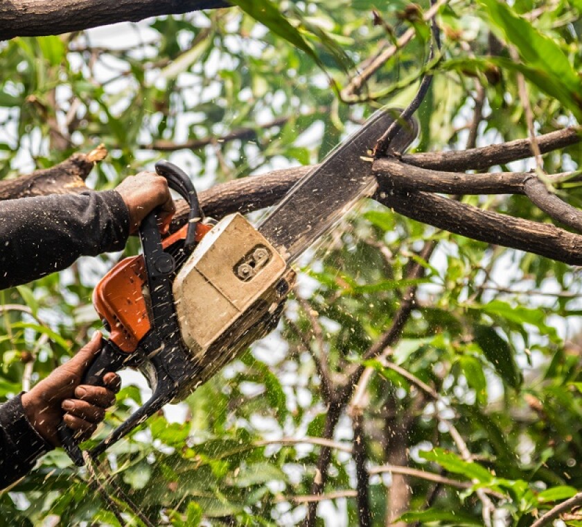 Amazon says some cutting is required