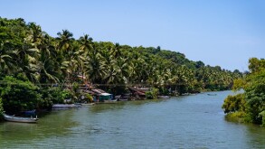 view into the green channel of the indian backwaters, india