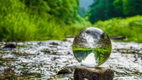 Klimaneutral in die Zukunft - Net Zero 2050