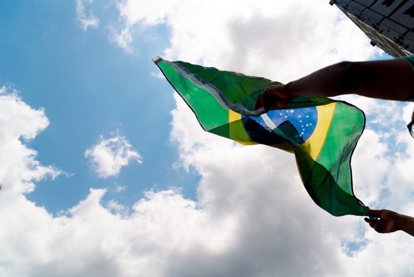 Protester carries a flag during a demonstration against Presiden