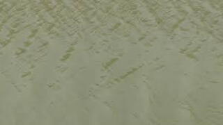 Murky waters