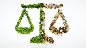 Ecology and business