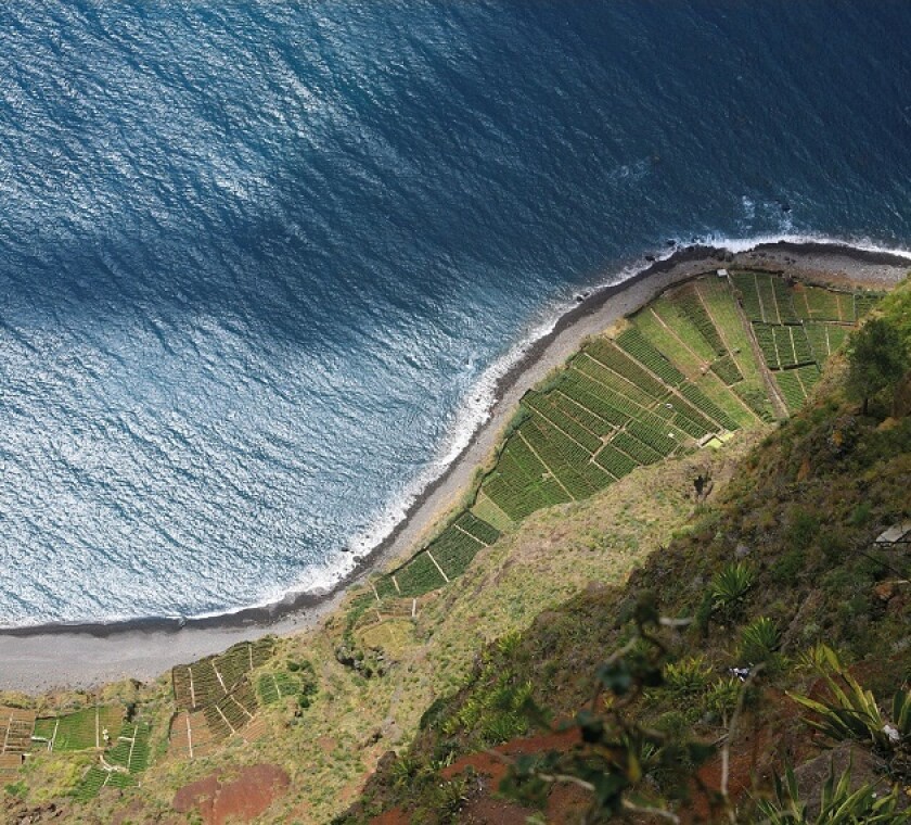 madeira-630 x 570