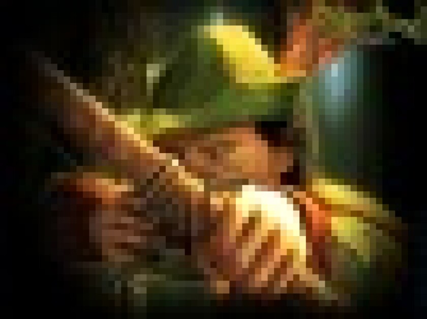 rh-robinhood-1024x768small.jpg