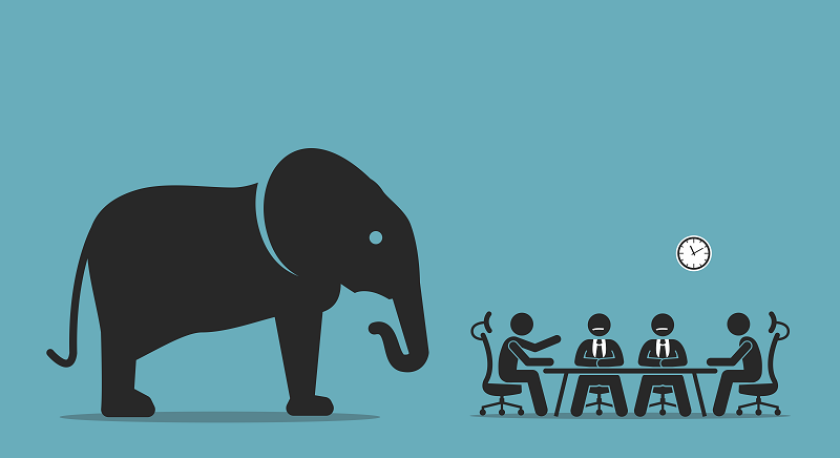 elephantintheroom