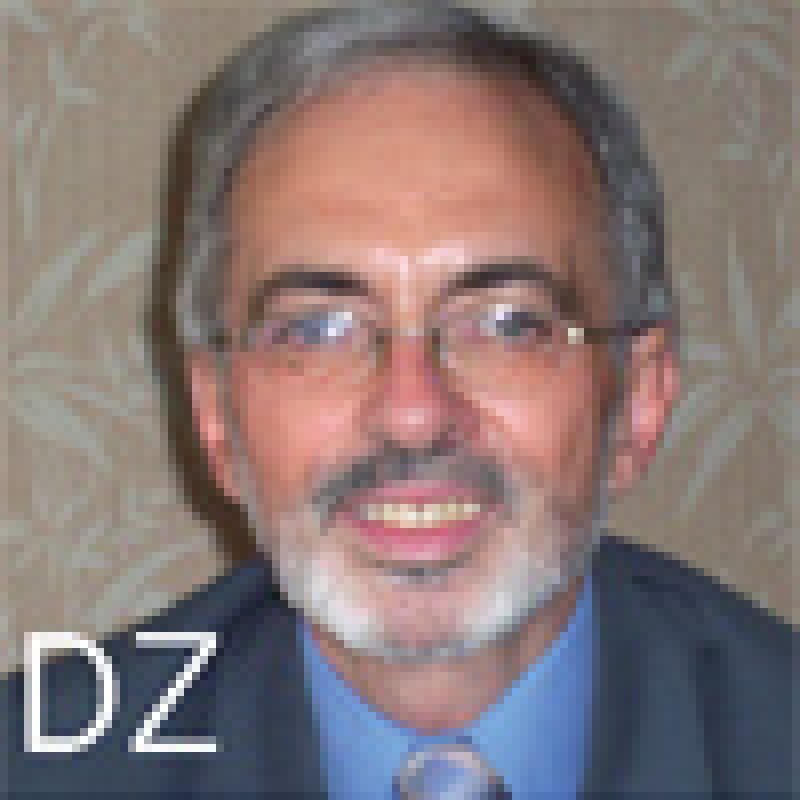 dz.jpg