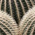 Mexico's digital VAT will be a prickly issue for multinationals