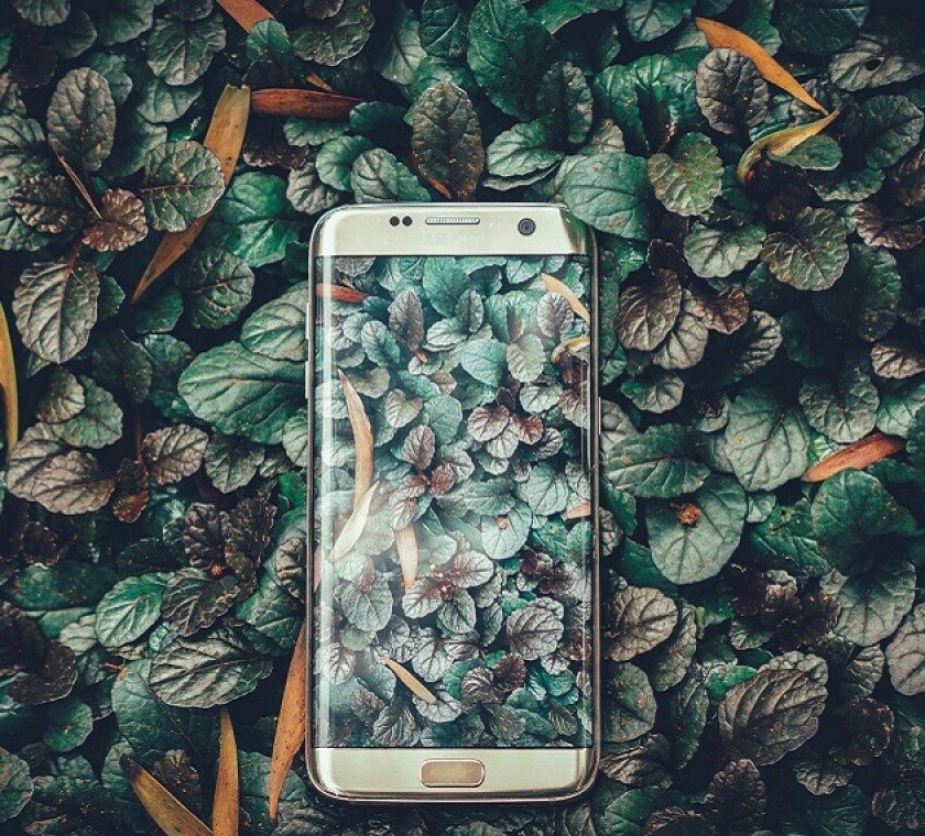 Business models are evolving on account of digitalisation