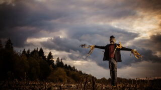 scarecrow.jpeg
