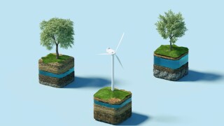 Trees and a wind turbine