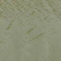 Murky waters