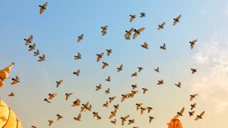 The proposed amendments may provide clarity and certainty for the future