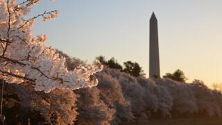 washingtondc.jpg