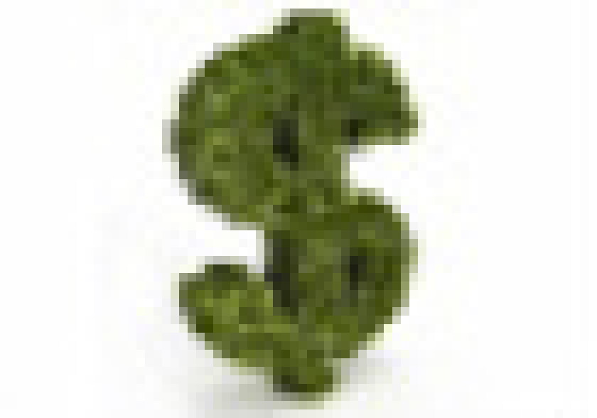 green2.jpg