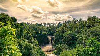 pwc-adobestock-183318921.jpg