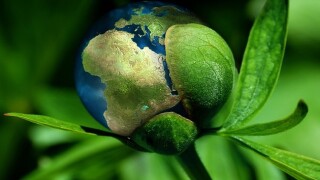 The Green Deal is a master plan which aims to transform Europe into the first climate-neutral continent