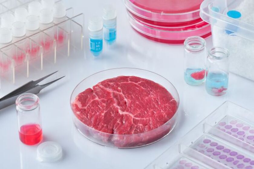cultured-meat-min.jpeg
