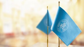 Small flags of the International Intellectual Property Organization on an abstract blurry background