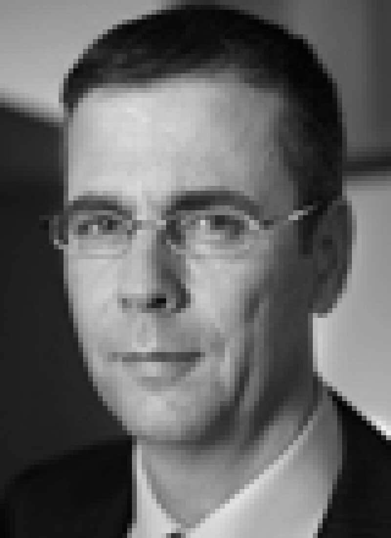 vogel.jpg