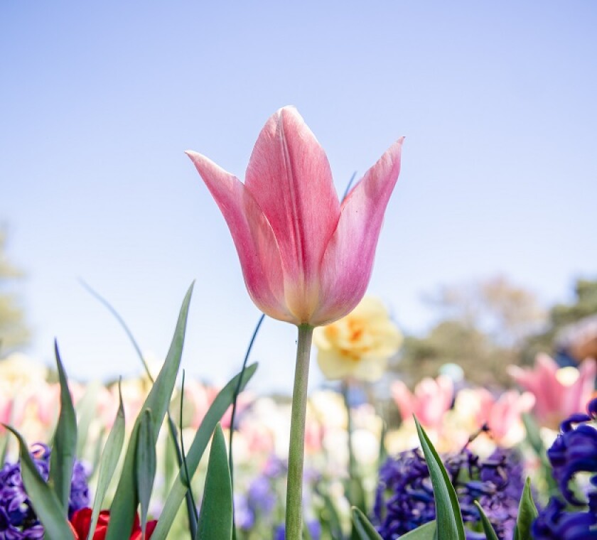 There are European developments regarding holding companies