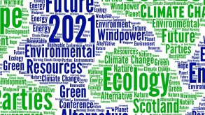 Consensus around carbon taxes may be limited at COP26