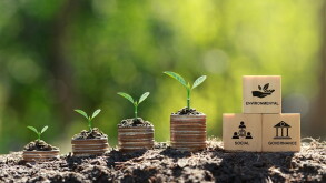 ESG concept of environmental, social, and governance.ESG icon on