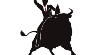 bull.jpg
