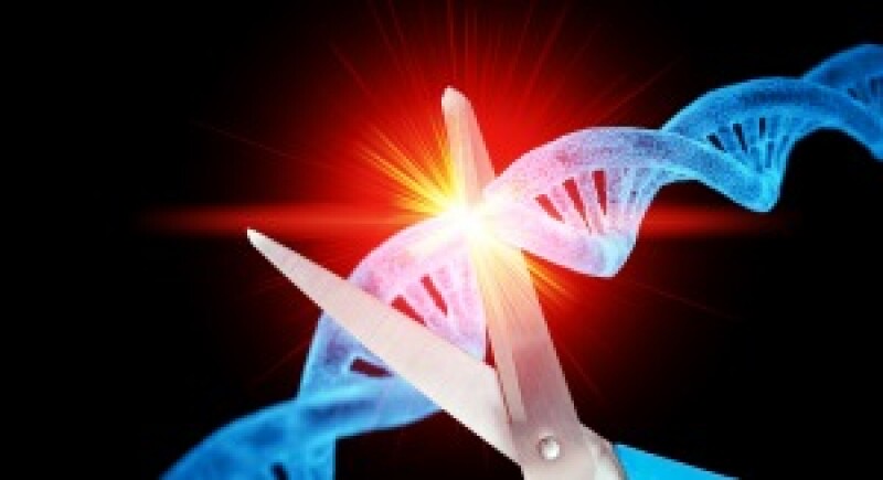 CRISPR main
