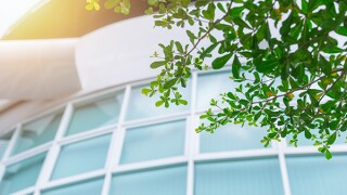 adobestock-189349989-bk.jpg