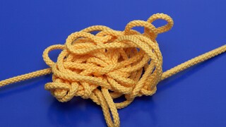 6finocchiopt-as677552.jpg