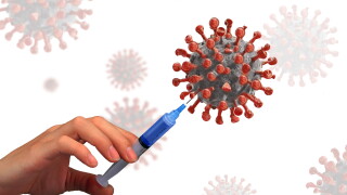 virus-5768628.jpg
