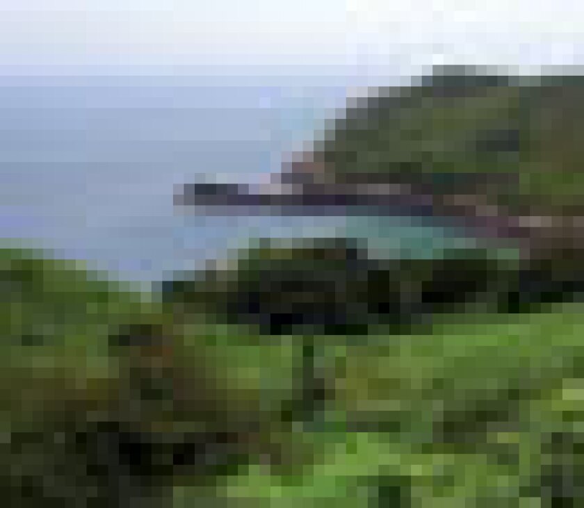 jersey-puff.jpg