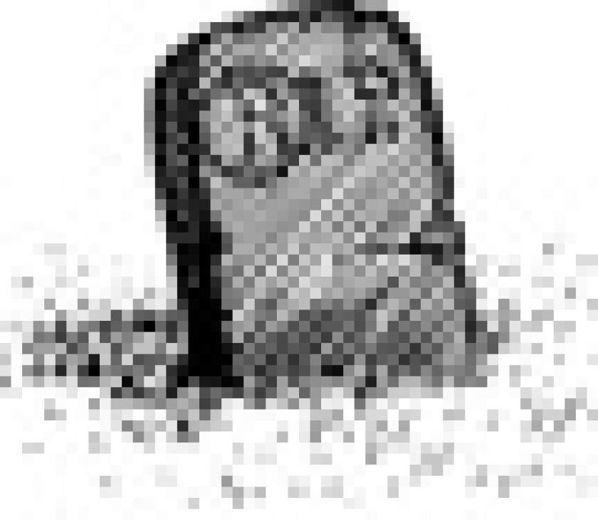 tomb-puff.jpg