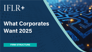 Firm Structure - header image.png