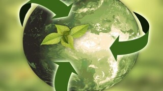 Sustainability must be a key driver of innovation in the immediate future