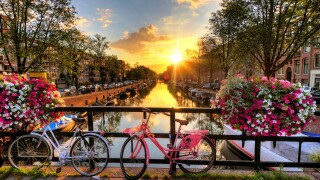 AdobeStock_91108597 (1).jpeg