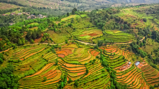 Low-risk distributors.png