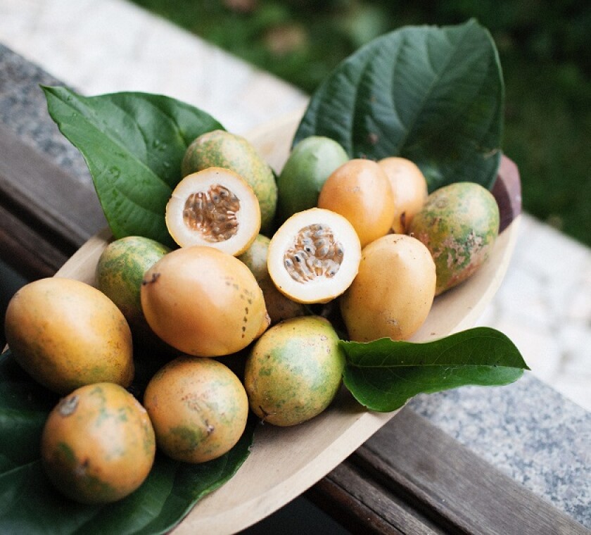 Unprecedented ruling in Brazil boosts PIS and Cofins credits for businesses