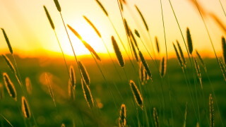 summer-970347.jpg