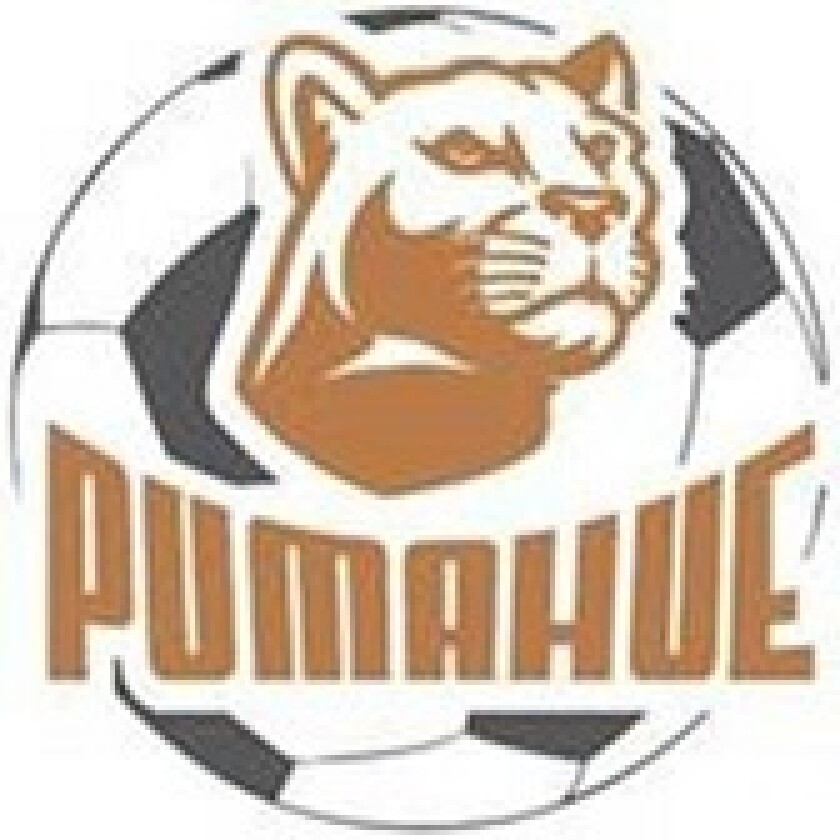 Pumahue 168
