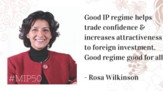 rosa3.jpg