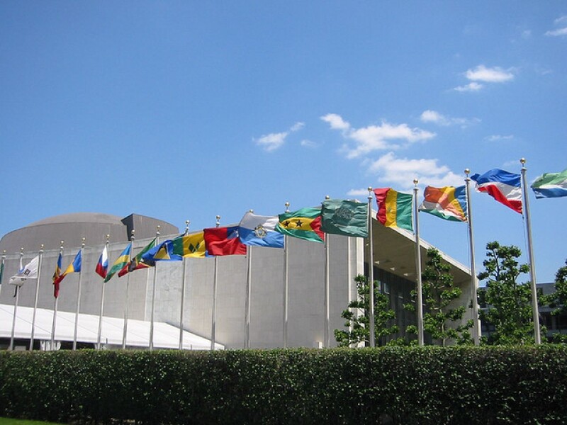 Picture of UN flags