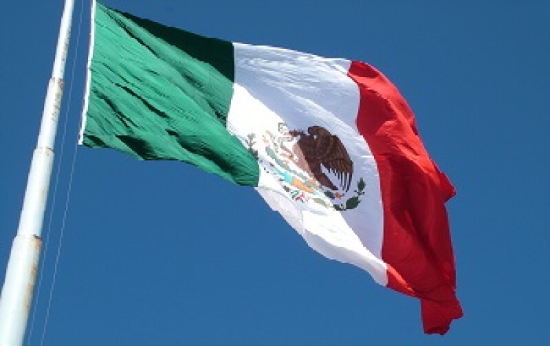 Mexico flag