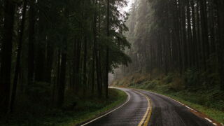 road.jpg