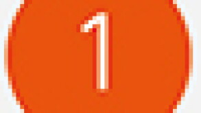 1g