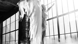 angel-630.jpg