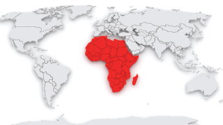 africa.jpg