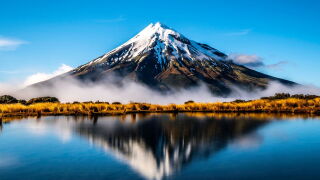 NZ backdrop.jpeg