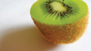 kiwi.jpg